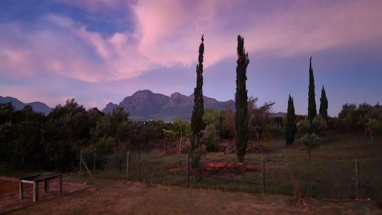 Sandmartins Suider-Paarl Kültér fotó